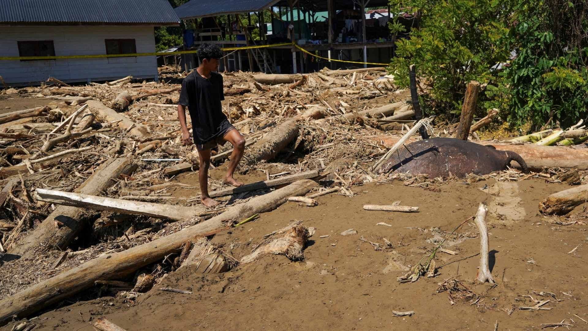 Elefante Queda Enterrado Tras Inundaciones, en Indonesia; Habría Sido Arrastrado por el Agua