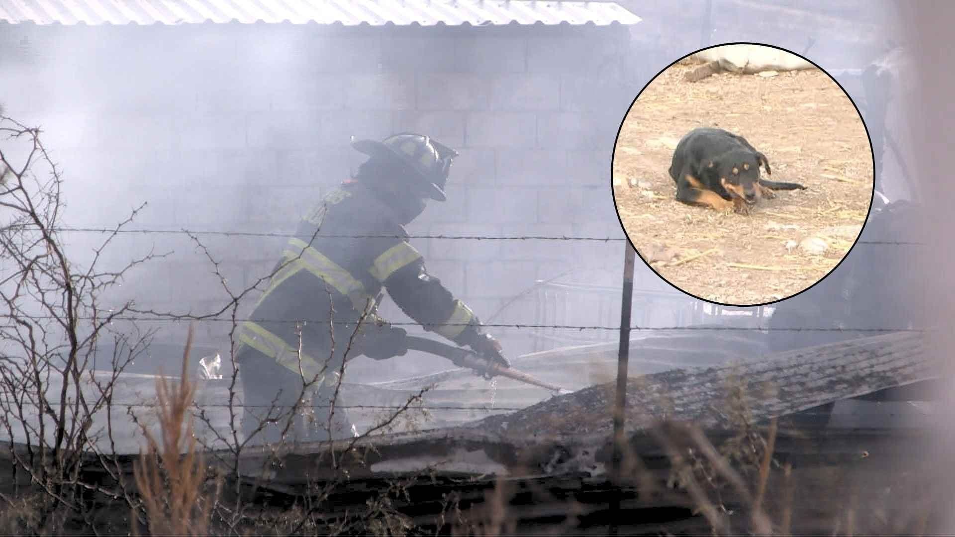 Brasas Arrastradas Por el Perro Provocaron el Incendio | Foto: N+