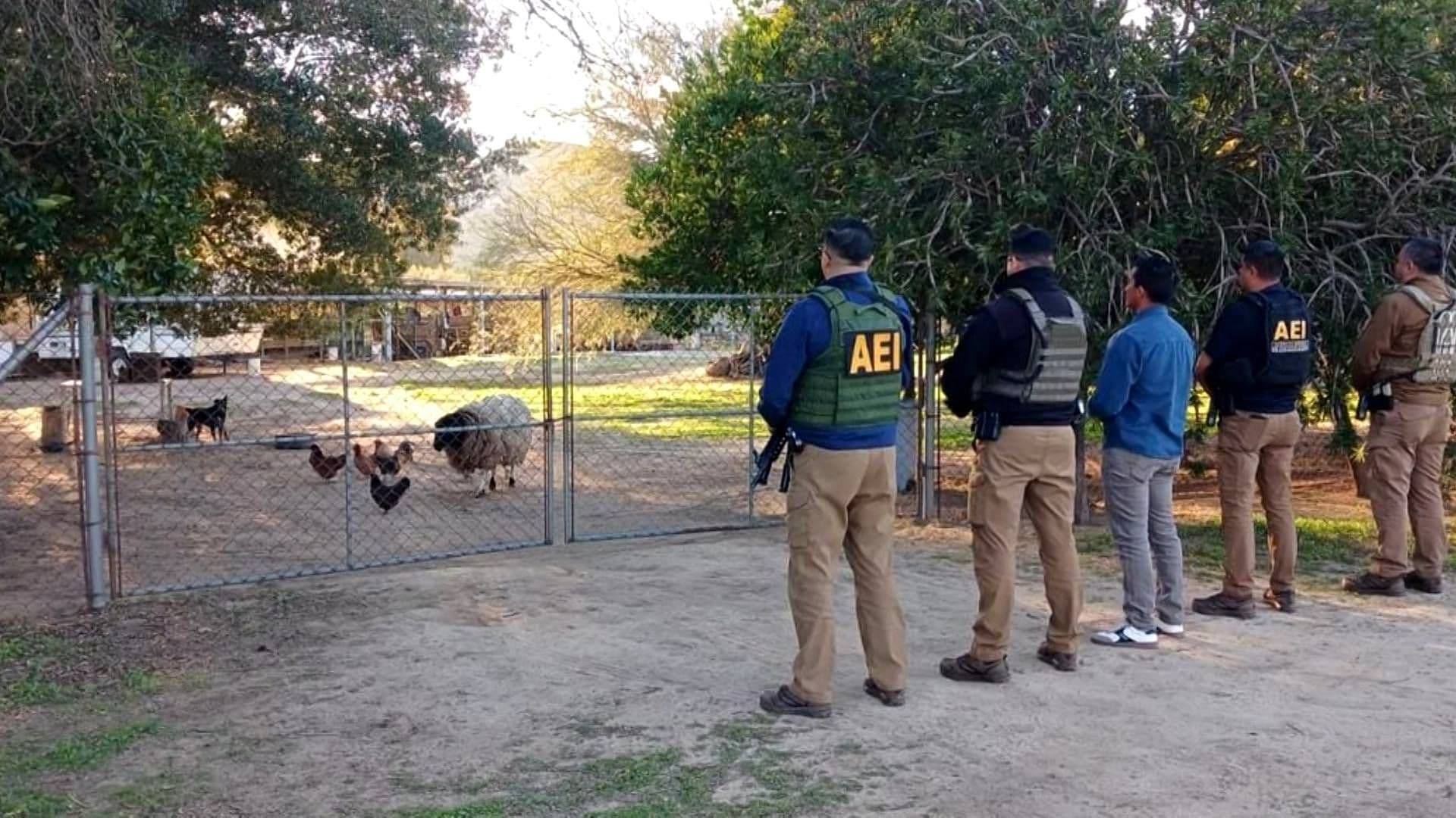 Rescatan a Perra y Borrego Víctimas de Presunto Maltrato Animal en el Testerazo, Tecate