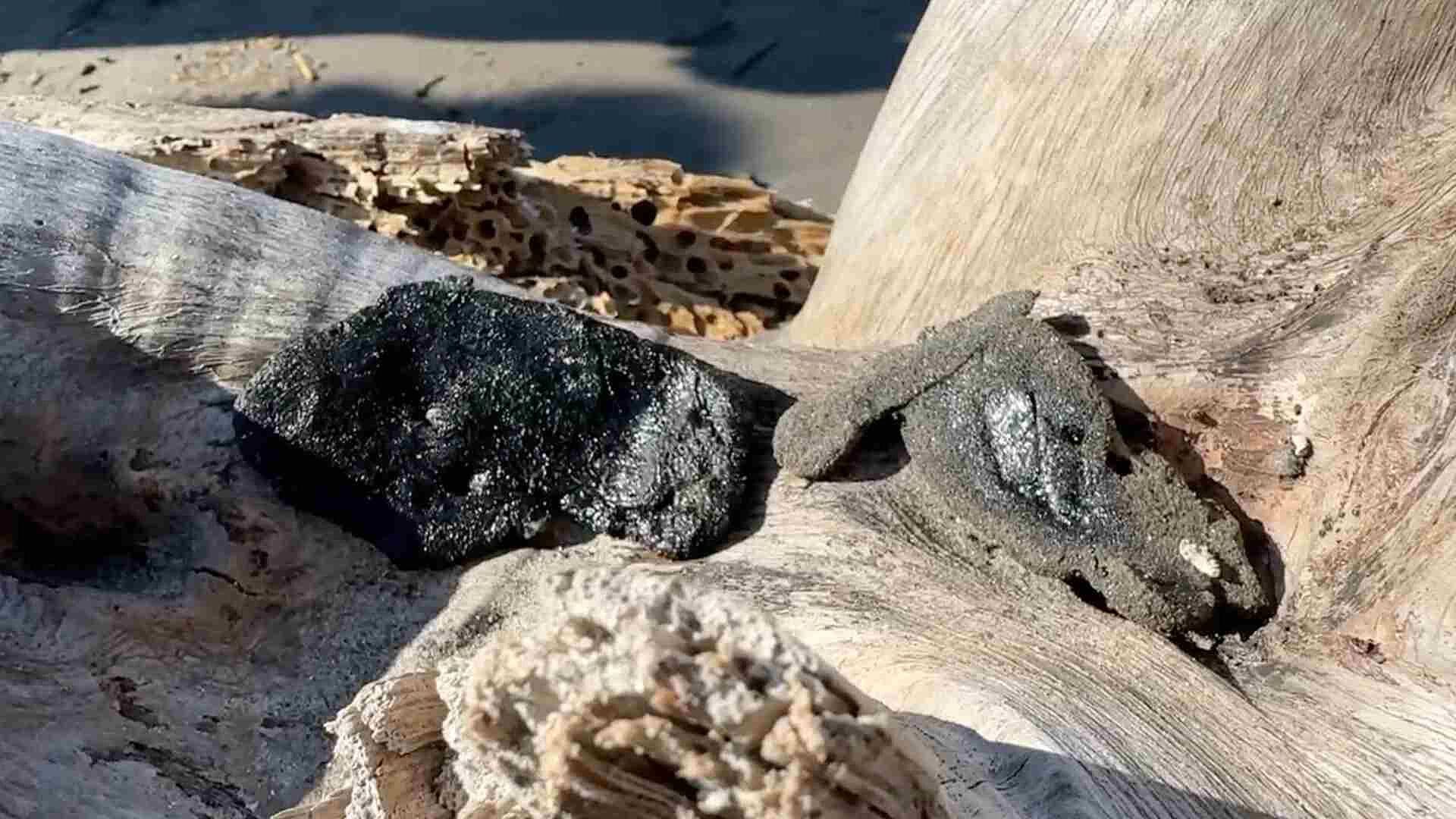 Pescadores Reportan Restos de Hidrocarburo en Playa Tortuga de Boca del Río, Veracruz