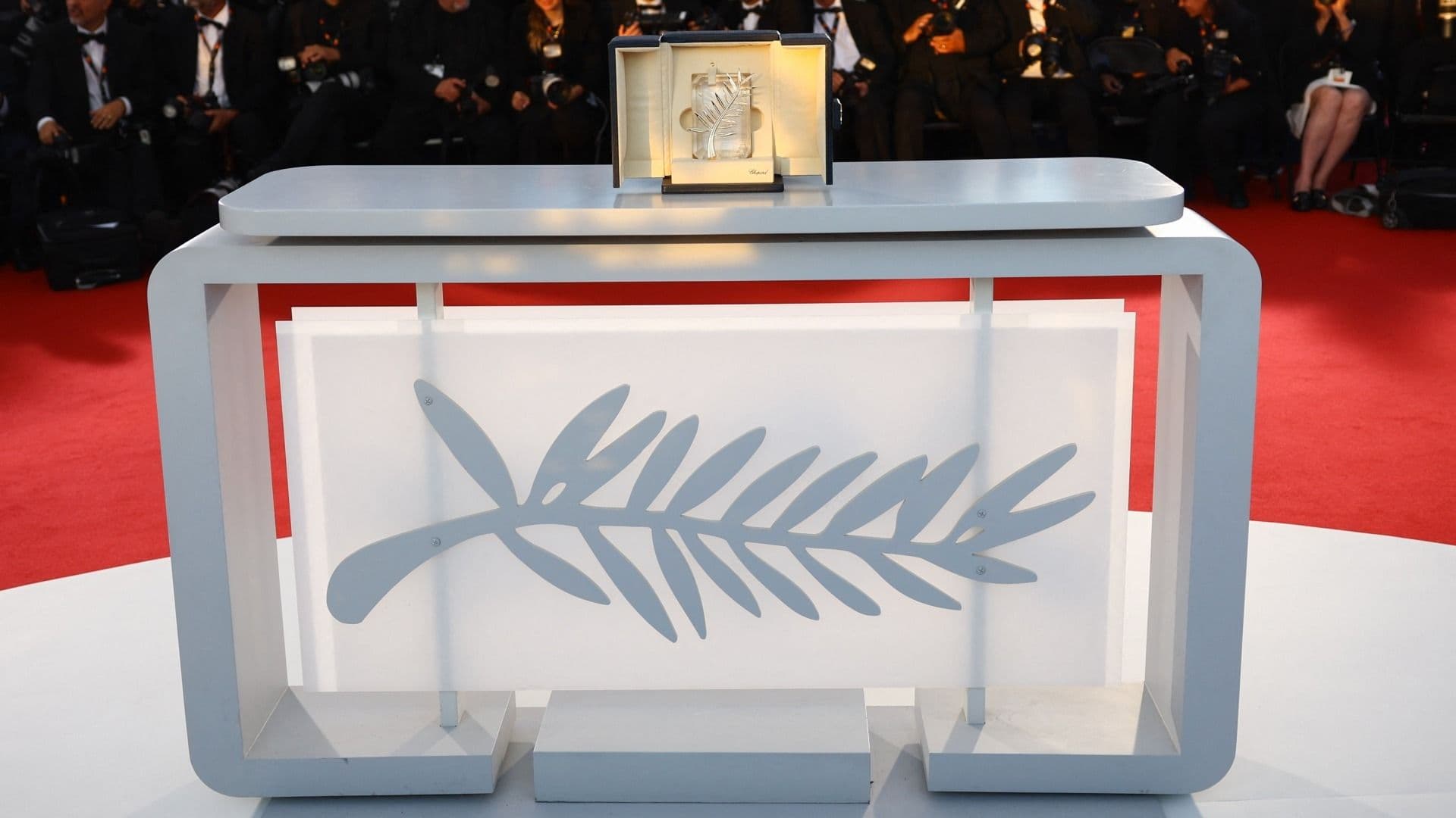 Festival de Cannes 2026: ¿Quiénes Son los Directores que Compiten por la Palma de Oro?