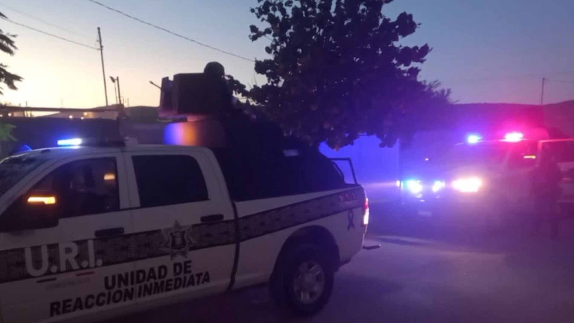 Adolescente Mata a Gato con Rifle de Postas en Gómez Palacio
