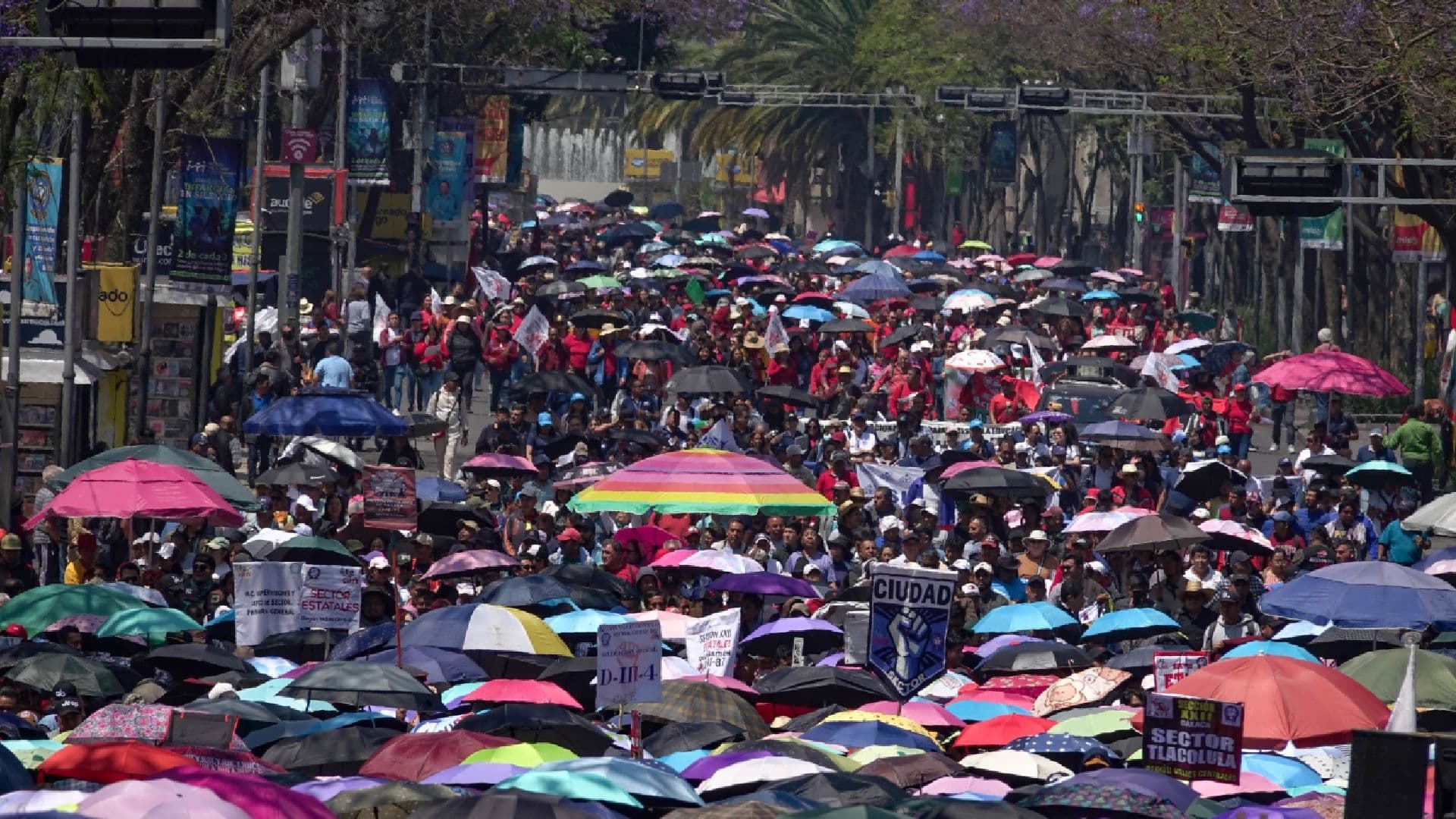 Marcha de Maestros de la CNTE Mañana 25 de Mayo en CDMX: Bloqueos y Alternativas Viales