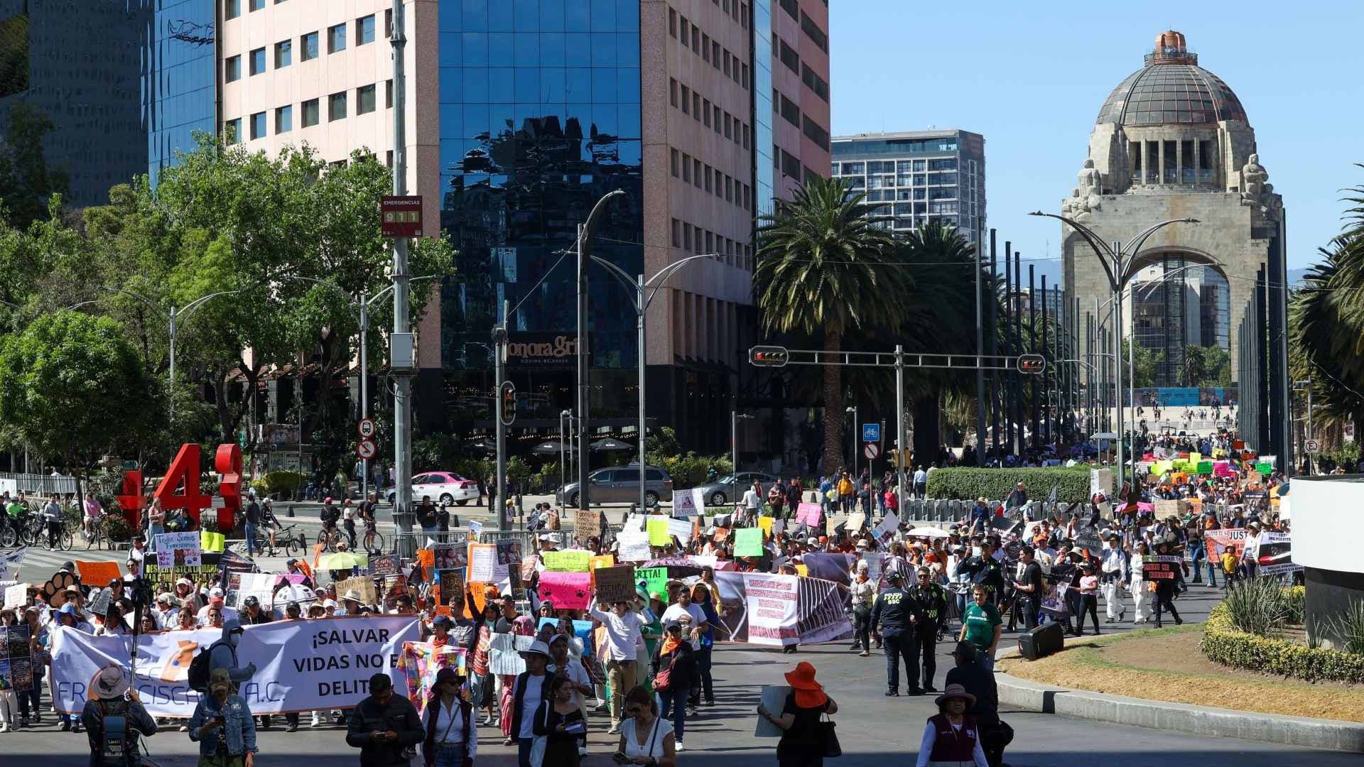Bloqueos por Animalistas Hoy en CDMX: Zonas Afectadas por Manifestaciones este 29 de Abril 2026